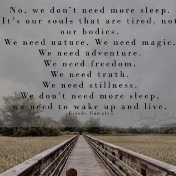 Meet your Posher, Tana - Picture 7 of 8